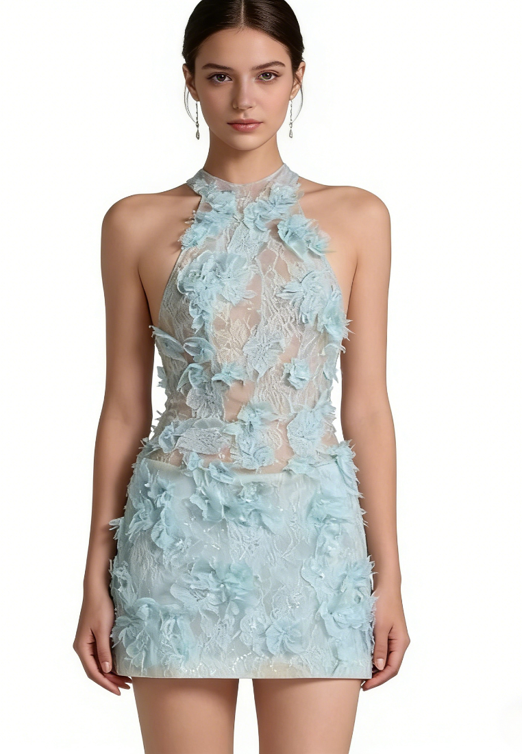 Elegant Floral Lace Mini Dress Sheer Mesh Bodycon Party Dress K26040912