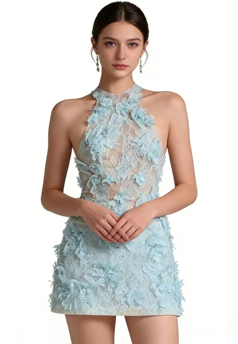 Elegant Floral Lace Mini Dress Sheer Mesh Bodycon Party Dress K26040912