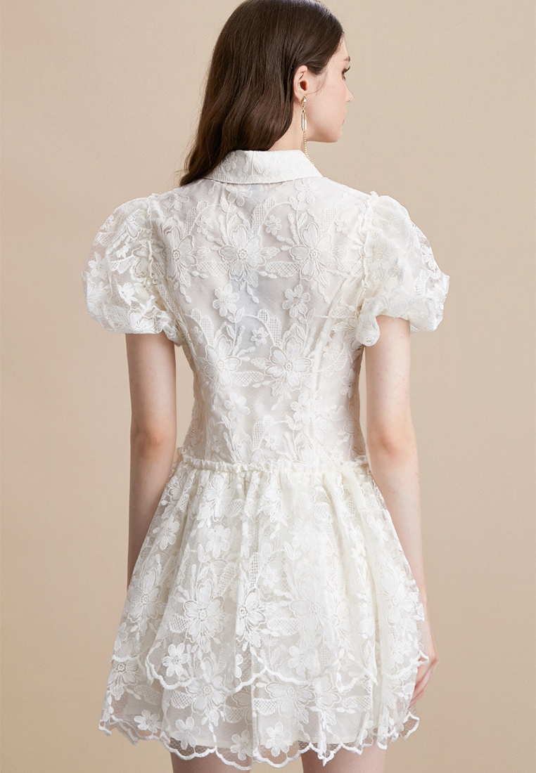Summer Retro Lapel Embroidered Puff Sleeve A-Line Tiered Dress CA25091516W