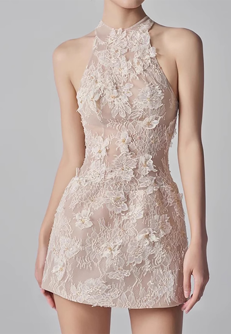 New Light Luxe Lace Dress CA25092519BE