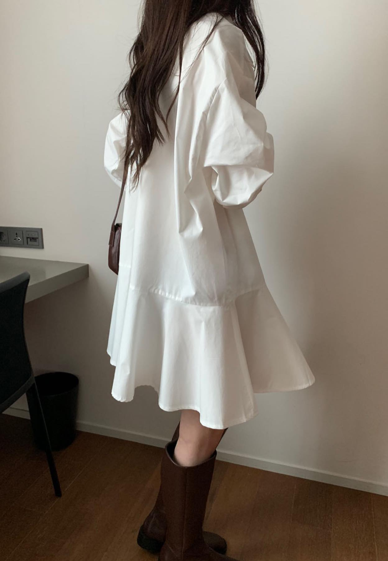 Simple and loose casual long sleeved dress CA25031903W