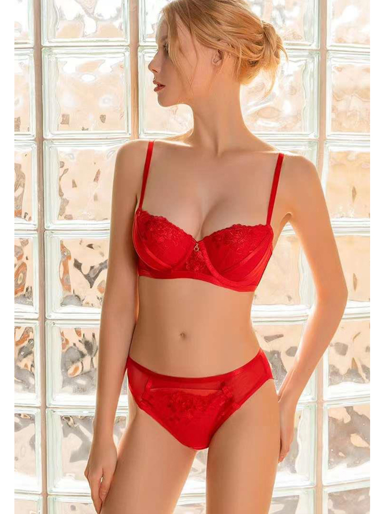 Sexy Lace Trimmed Bra Set for Small Breasts CA23050444RD-sunnydaysweety