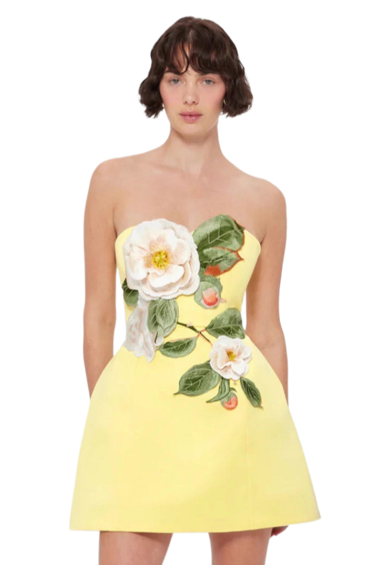 New French retro embroidery waist elegant dress CA25091452YE