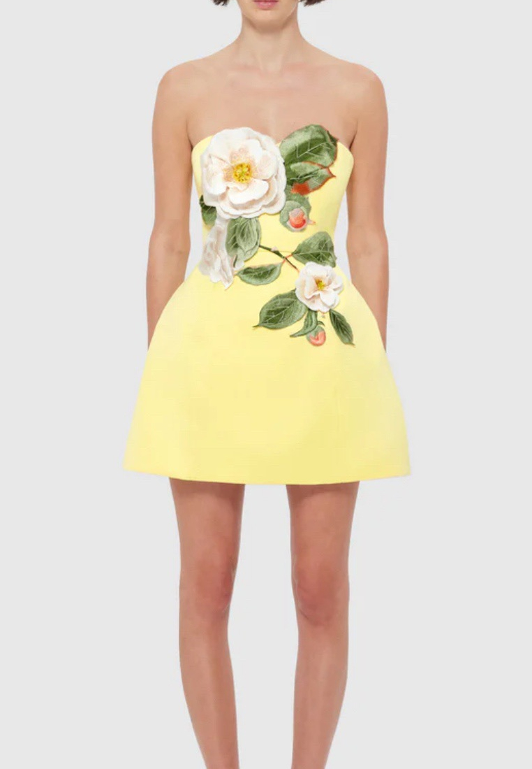 New French retro embroidery waist elegant dress CA25091452YE