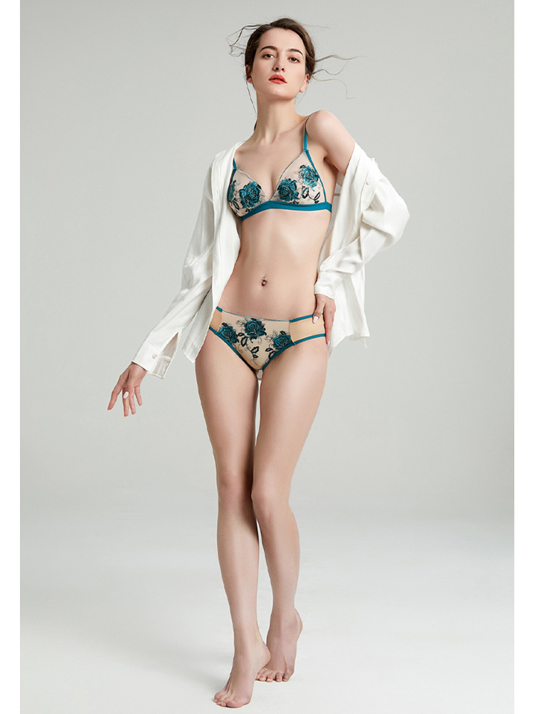 French style ultra-thin triangle cup steel ring mesh embroidery lace bra set CA23050459YE