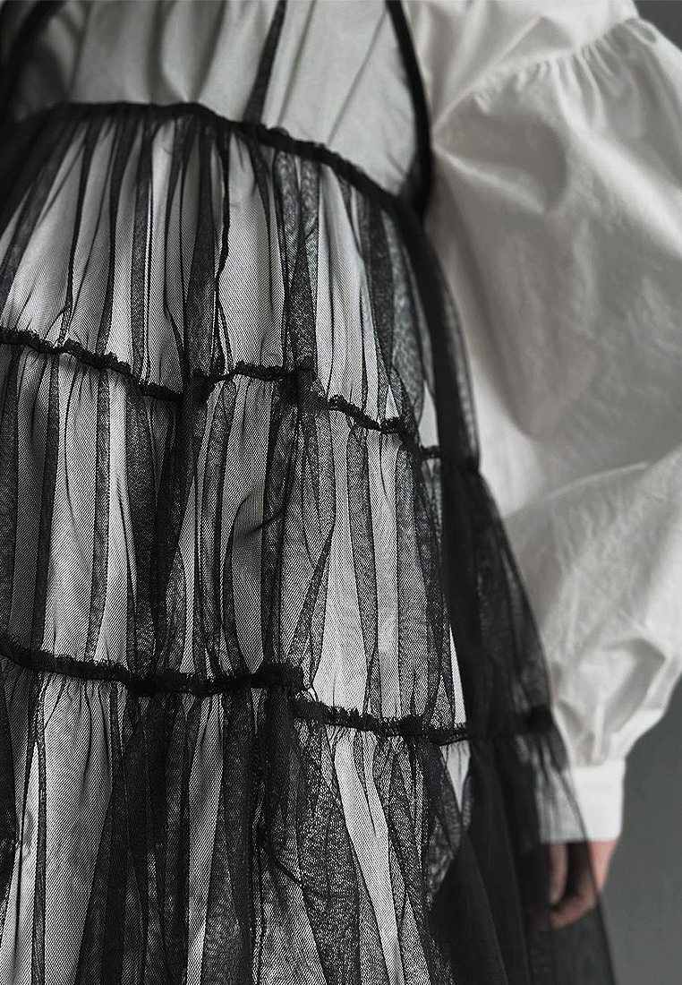 Korean Fashion Mesh Dress CA241128159W