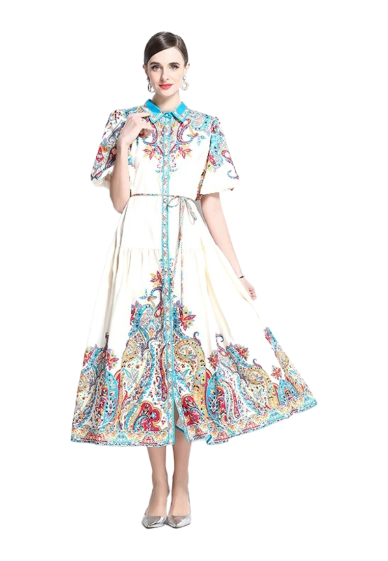 Vintage cotton and linen lantern sleeve printed dress CA25031207W