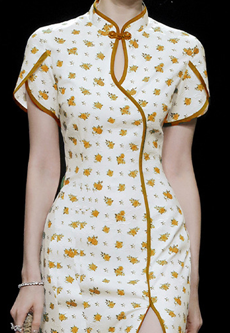 Retro Chinese style sexy slit printed cheongsam dress CA250325307GR