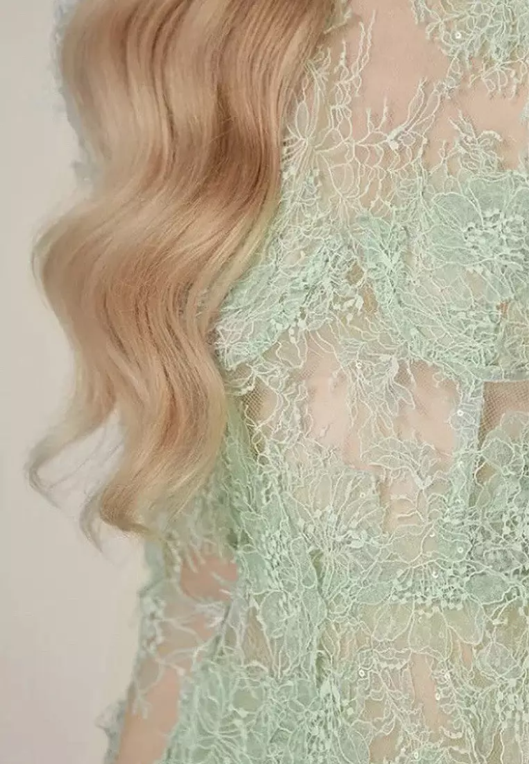 Elegant lace embroidered dress CA24102510GR