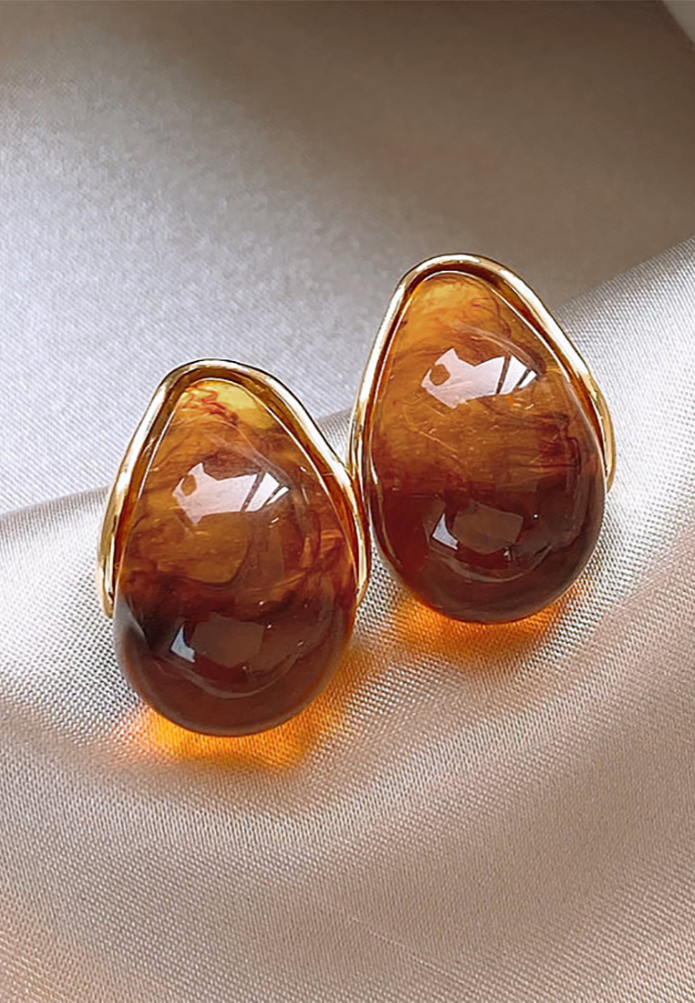 New fashion resin light luxury earrings CA25052385 -1