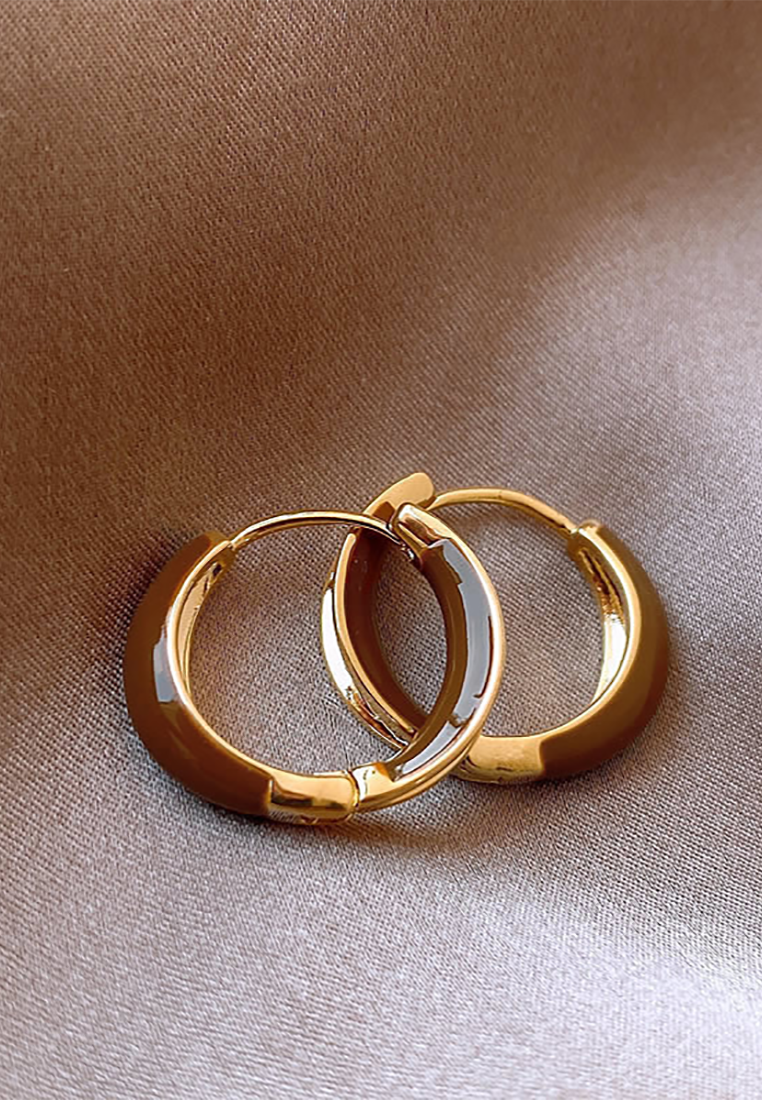 New fashion resin light luxury earrings CA25052385 -1