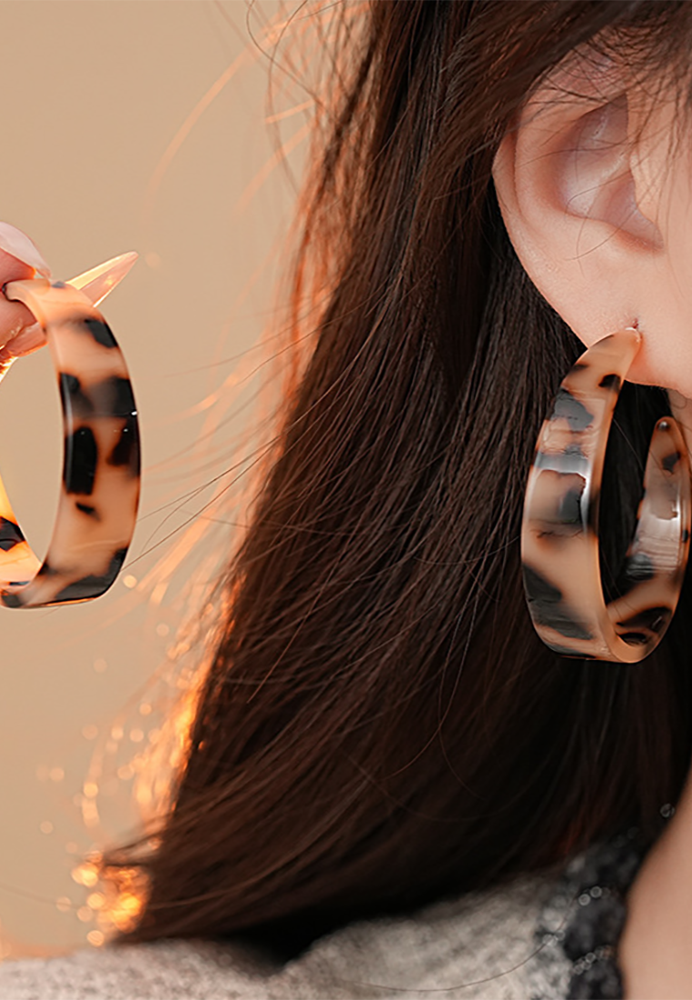 New fashion resin light luxury earrings CA25052385 -1