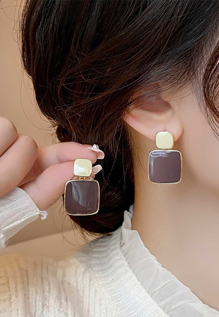 New fashion resin light luxury earrings CA25052385 -1