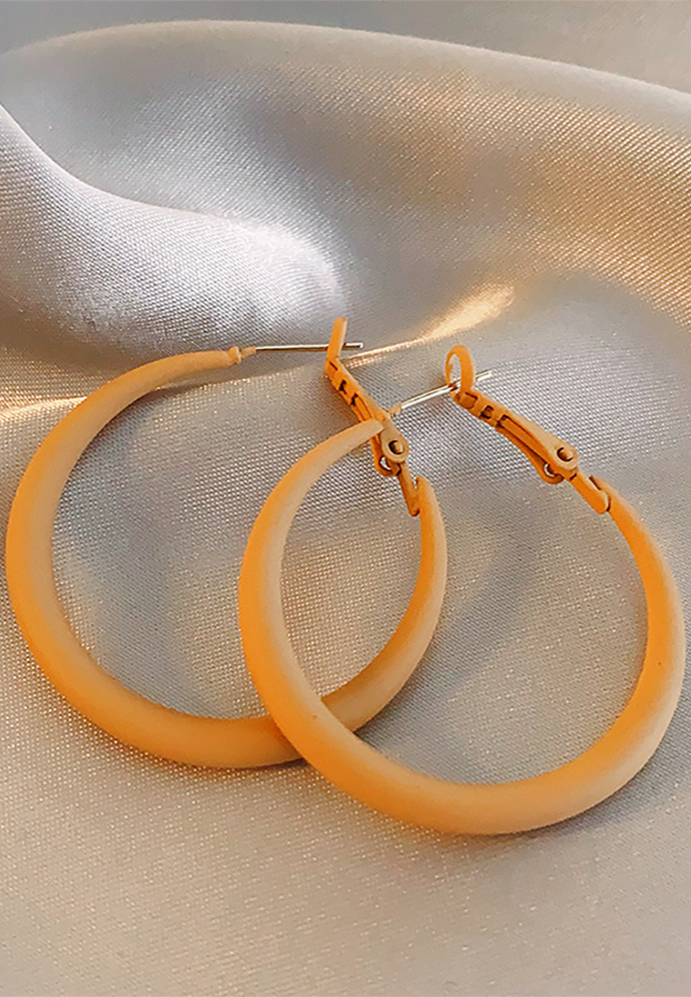 New fashion resin light luxury earrings CA25052385 -1