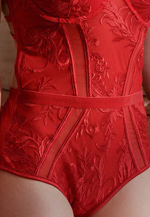 --Lace Embroidery One-Piece Teddy with Bra CA123103RD