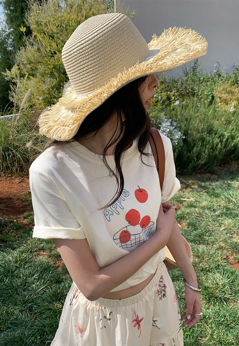 Summer Fresh and Cute Top CA25042917BL