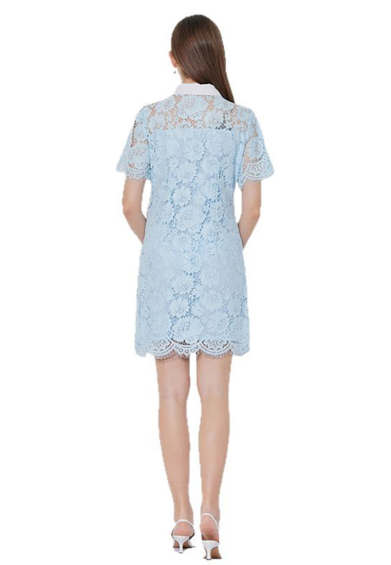 Summer new style lapel lace hollow short dress CA225042286BL