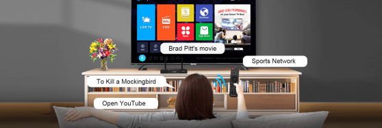 voice control tv box