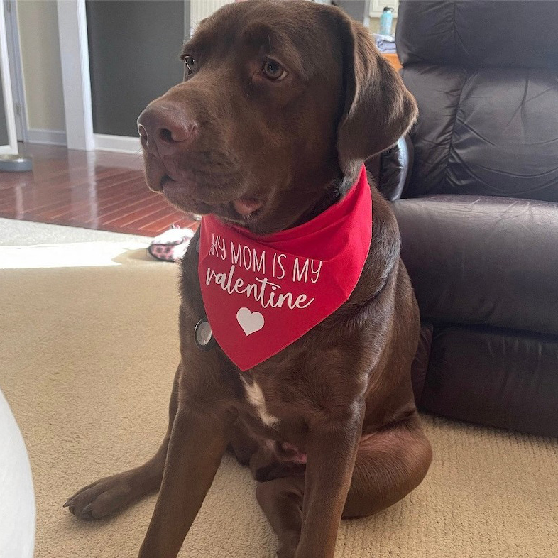 Valentine’s Day Bandana-My Mom Is My Valentine