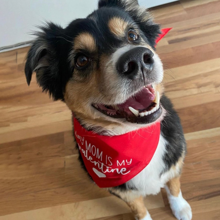 Valentine’s Day Bandana-My Mom Is My Valentine