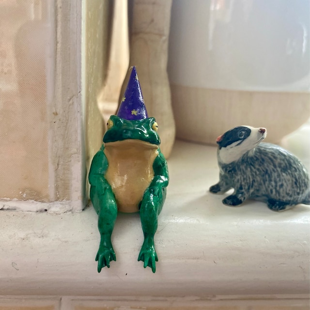 Little Frog Wizards