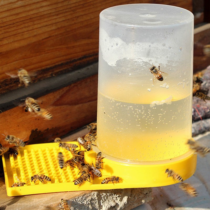 Beekeeping Cup For Drinking Hive Entrance