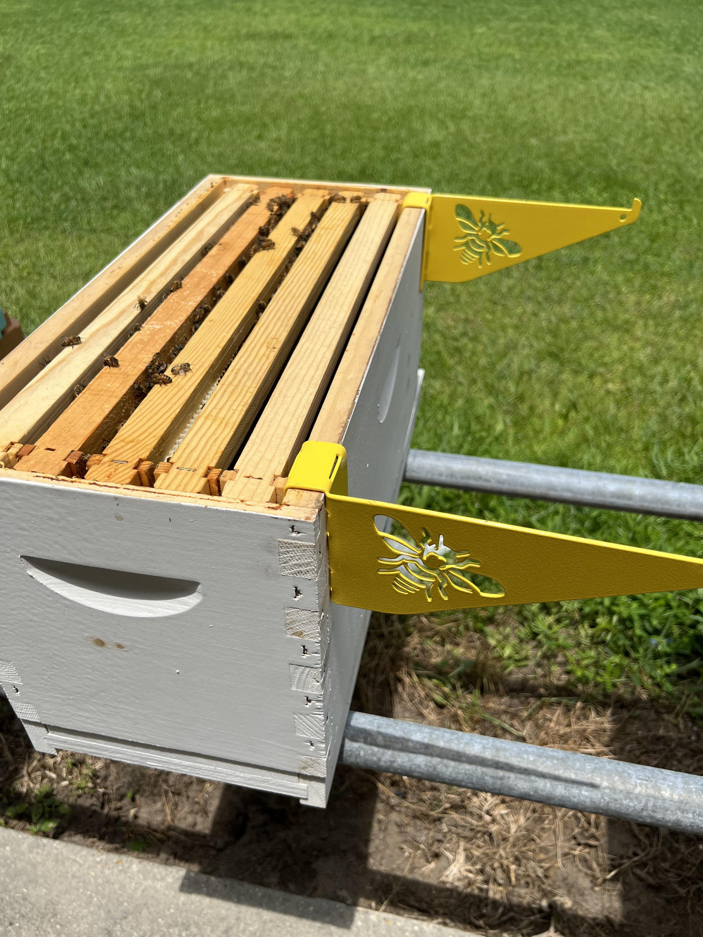 🐝Beehive Inspection Bracket