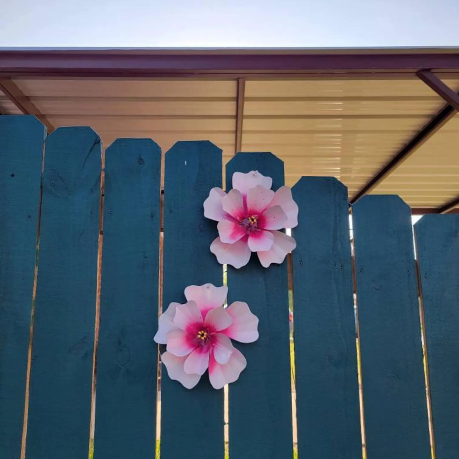 Hibiscus Fence Flowers