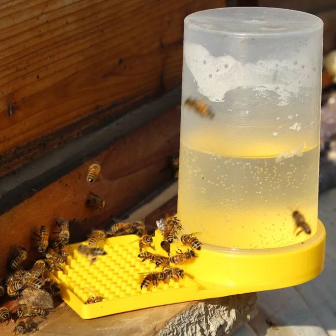 Beekeeping Cup For Drinking Hive Entrance