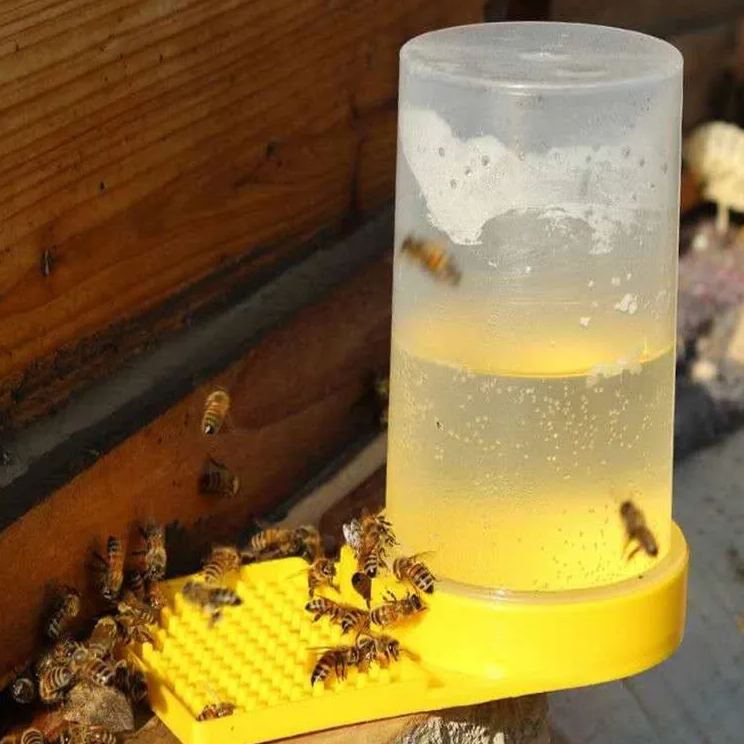 Beekeeping Cup For Drinking Hive Entrance