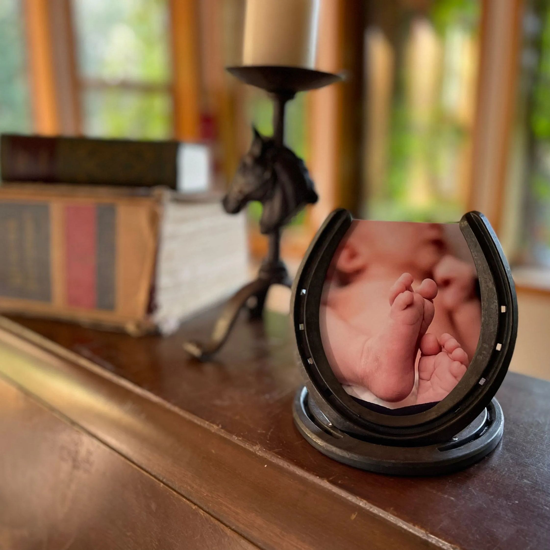 Horseshoe Picture Frame