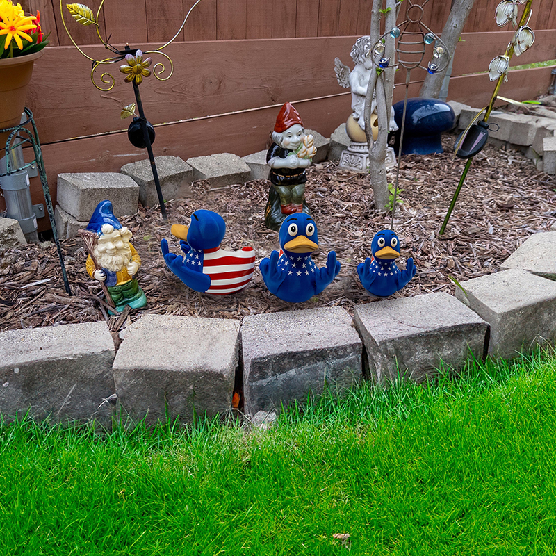 Funny Middle Finger Ducks