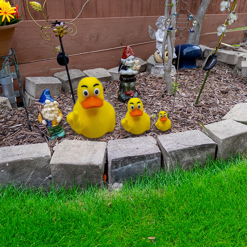 💥Last Day Promotion 50% OFF🔥- 🤣Funny Middle Finger Ducks🦆🖕