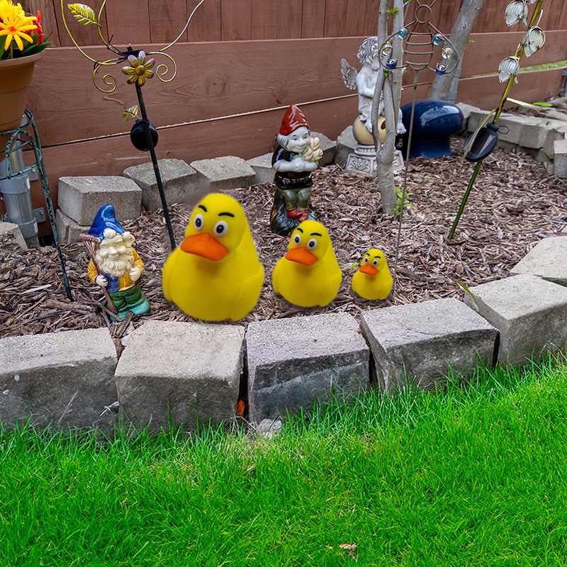 💥Last Day Promotion 50% OFF🔥- 🤣Funny Middle Finger Ducks🦆🖕