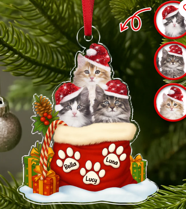 Custom Pet Photo Acrylic Ornament Christmas Gifts For Dog And Cat Lovers