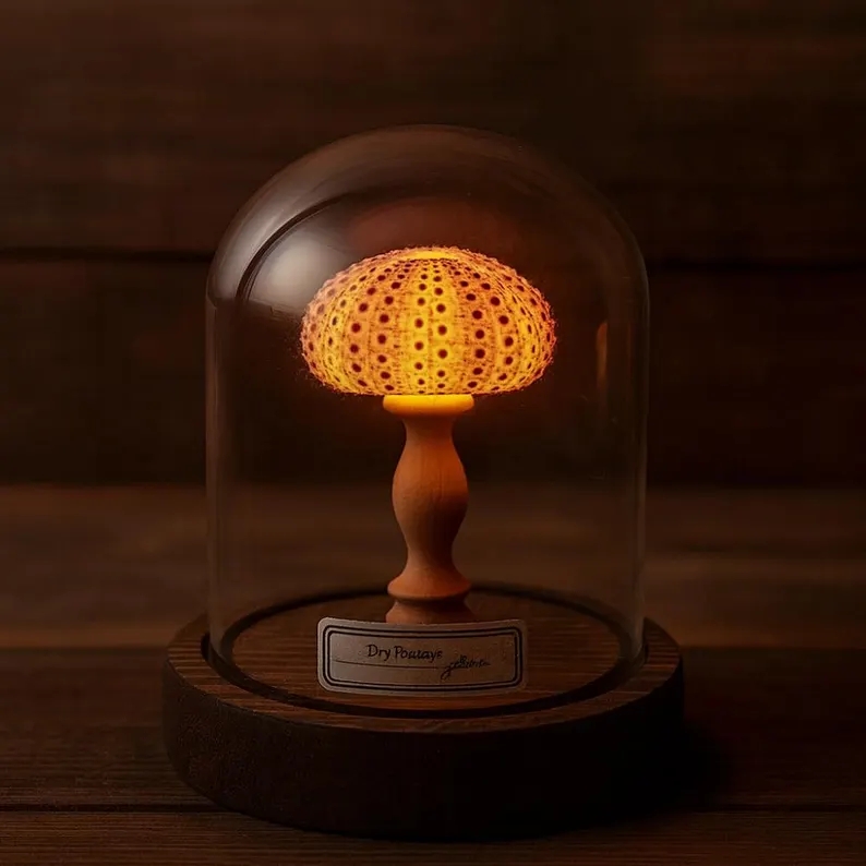 Vintage Seashell Night Light: Coastal Ocean Decor Under Glass Dome