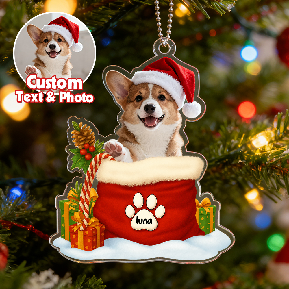 Custom Pet Photo Acrylic Ornament Christmas Gifts For Dog And Cat Lovers