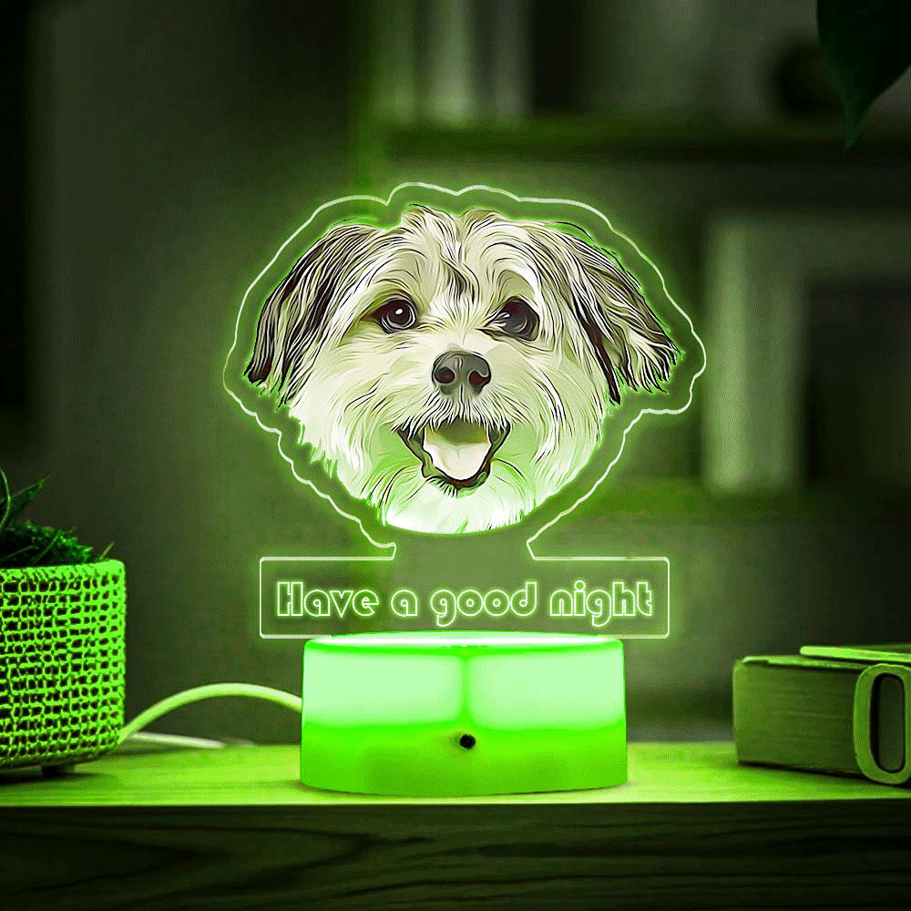 Custom Pet Portrait Night Light Gift for Pet Lovers