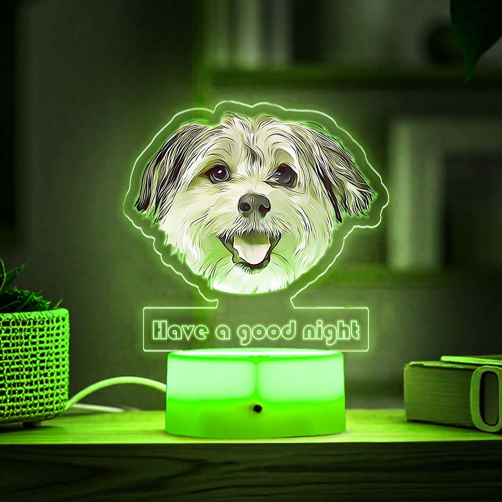 Custom Pet Portrait Night Light Gift for Pet Lovers