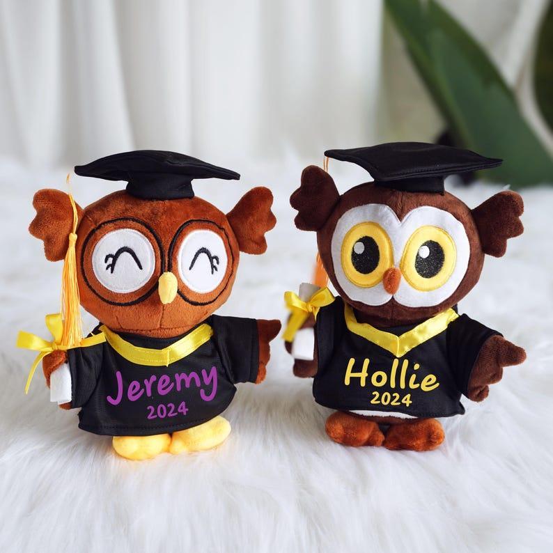 Custom Graduation Bear, Graduation Gifts, Gifts for Graduates, Preschool Graduation Gifts, Grad Bear