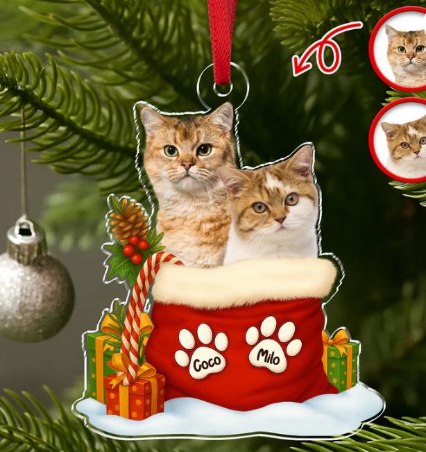 Custom Pet Photo Acrylic Ornament Christmas Gifts For Dog And Cat Lovers