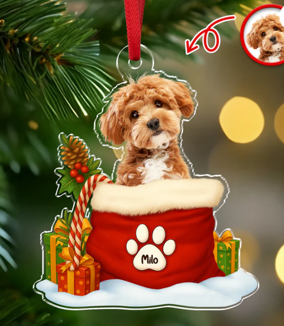 Custom Pet Photo Acrylic Ornament Christmas Gifts For Dog And Cat Lovers