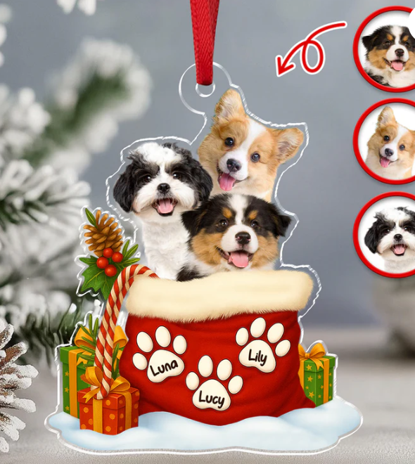 Custom Pet Photo Acrylic Ornament Christmas Gifts For Dog And Cat Lovers