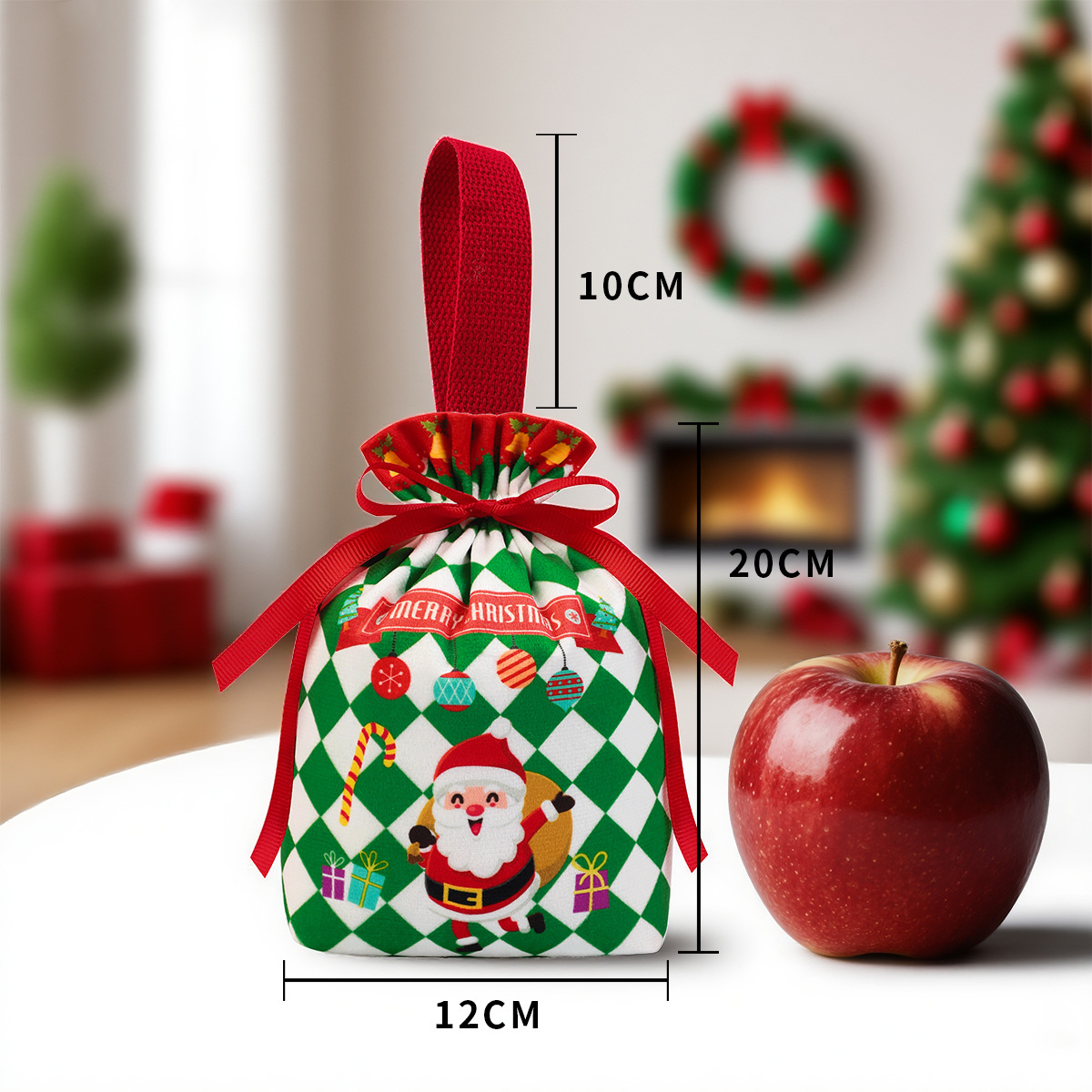 Christmas Gift Bag #4