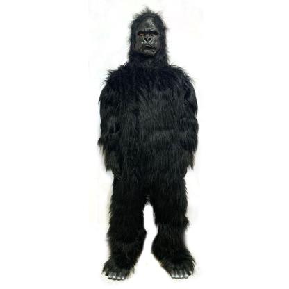 Godzilla x King Kong: The New Empire  Godzilla Gorilla Costume for Adult
