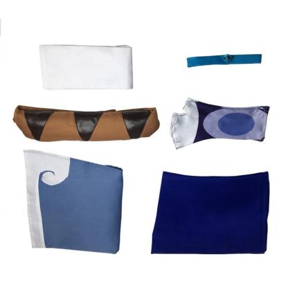 Anime Katara Avatar The Last Airbender Costume Party Cosplay Carnival Full Set
