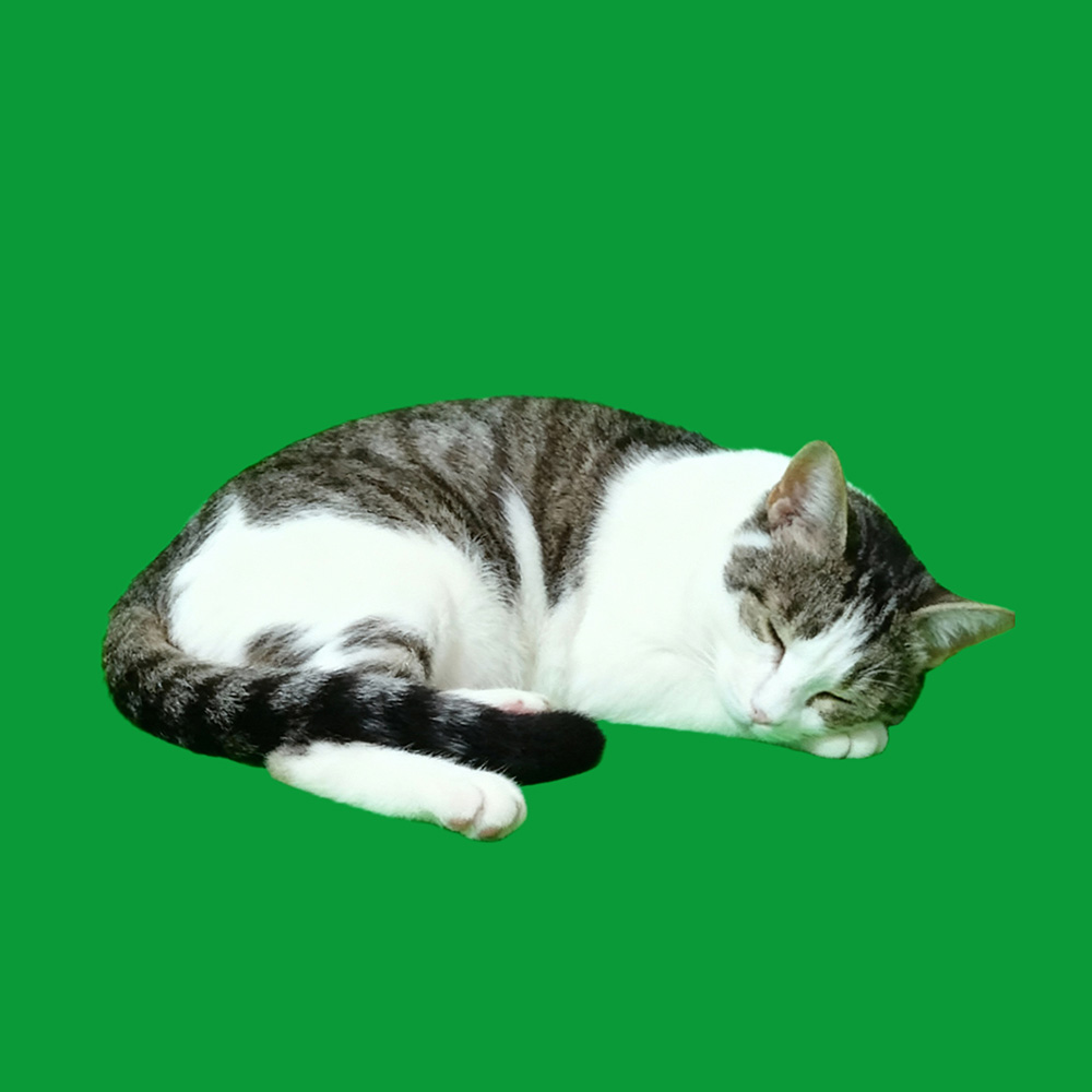 Scene Di Sonno - 