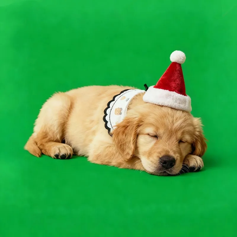 Christmas Sleeping Sences