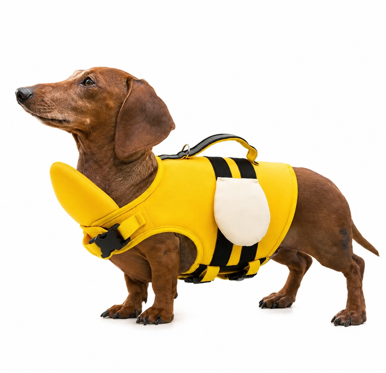 Dog Life Jacket, Adjustable Dog Life Jacket for Small Dogs, Safety Vest, Dog Life Saver with Rescue Handle Pet Swimsuit for Swimming Pool