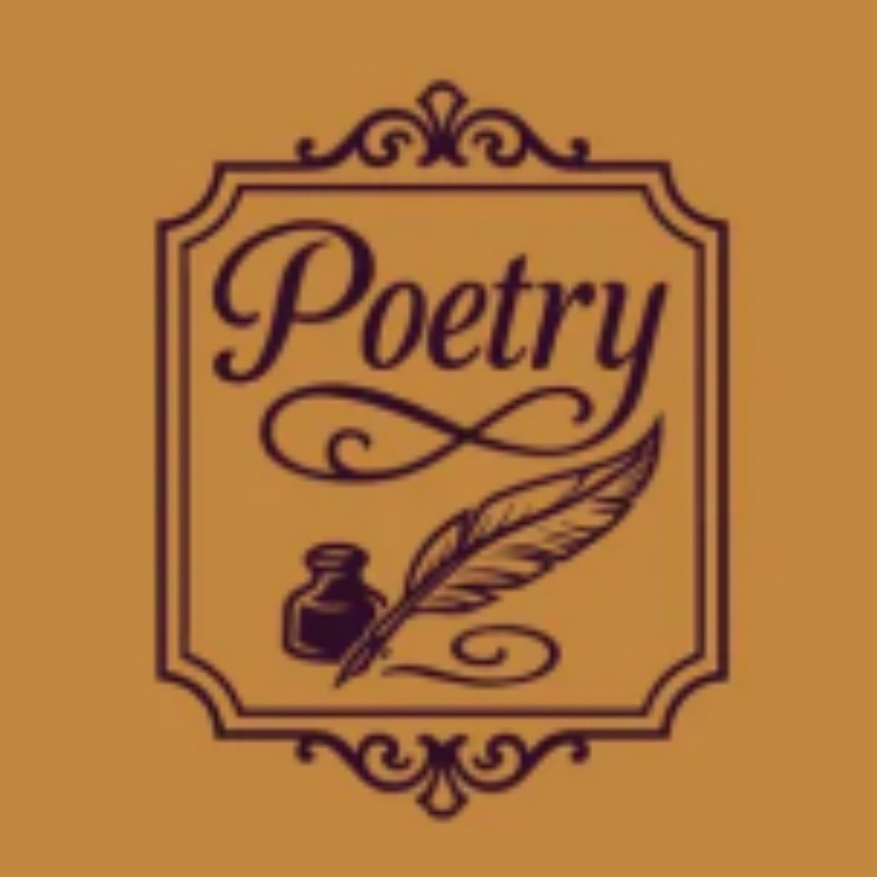 Book Nook Tavern Signs-Genre Shelf Labels with Hanging Brackets Bookshelf Genre Signs Tavern-Style Decor Book Dividers with Hanging Brackets,Reading Plaque for Home Library,Bookshelf Accessories